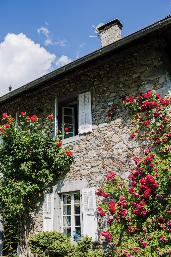 Hotel Mas De La Coutettaz, The Farmhouse มอร์ซีน ภายนอก รูปภาพ